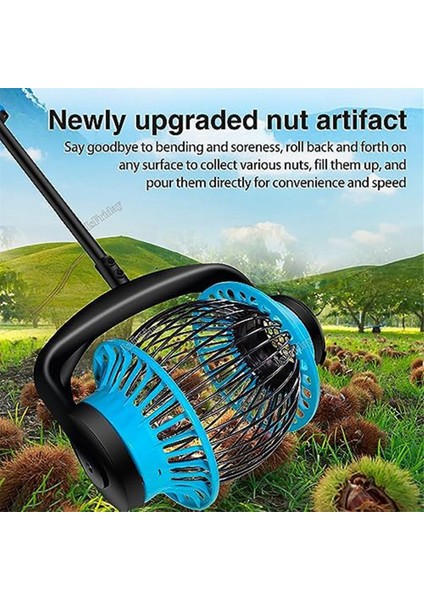 Fındık Toplayıcı, Meyve Toplayıcı Üst Tarafı Açıklıklı Hazne, Ceviz Toplayıcı Üst, Ceviz ve Golf Topları Için Uygun (Yurt Dışından) fiyatları