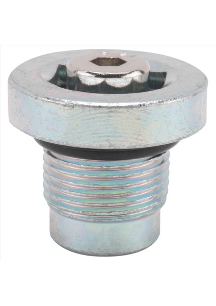 Volvo Için Şanzıman Tahliye Tapası Şanzıman Tahliye Vidaları (Yurt Dışından)