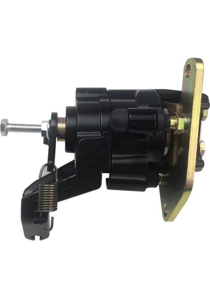 Yamaha Banshee Için 1UY-2580W-01-00 Arka Fren Kaliperi Grubu (Yurt Dışından) fırsatları