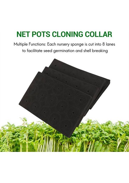 70 Adet Bahçe Klon Yakaları Neopren Ekler Sünger Blok 2 Inçlik Ağ Saksılar, Hidroponik Sistemler ve Bitkiler Için Kök Süngeri (Yurt Dışından) modelleri
