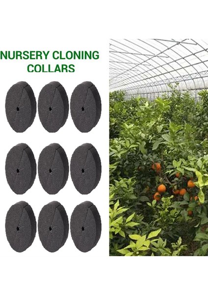 70 Adet Bahçe Klon Yakaları Neopren Ekler Sünger Blok 2 Inçlik Ağ Saksılar, Hidroponik Sistemler ve Bitkiler Için Kök Süngeri (Yurt Dışından) indirimleri