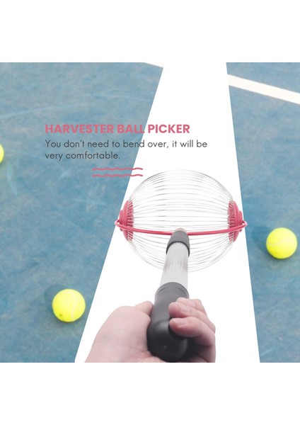 Yuvarlanan Ceviz Hasat Makinesi Toplayıcı Paslanmaz Çelik Ayarlanabilir Ceviz Toplayıcı Ayarlanabilir Ceviz, Pekan, Yabani Elma Toplayıcı (Yurt Dışından) fırsatları