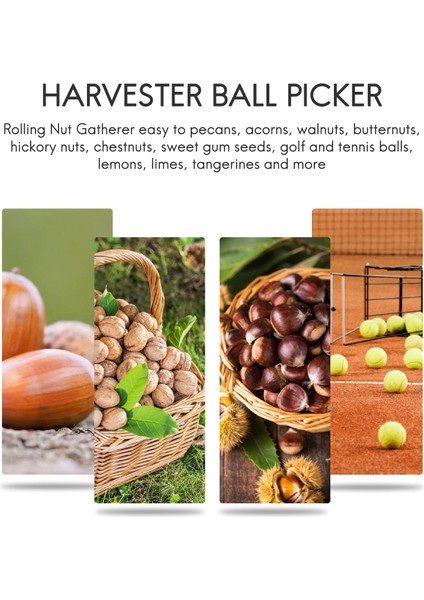Yuvarlanan Ceviz Hasat Makinesi Toplayıcı Paslanmaz Çelik Ayarlanabilir Ceviz Toplayıcı Ayarlanabilir Ceviz, Pekan, Yabani Elma Toplayıcı (Yurt Dışından) indirimleri