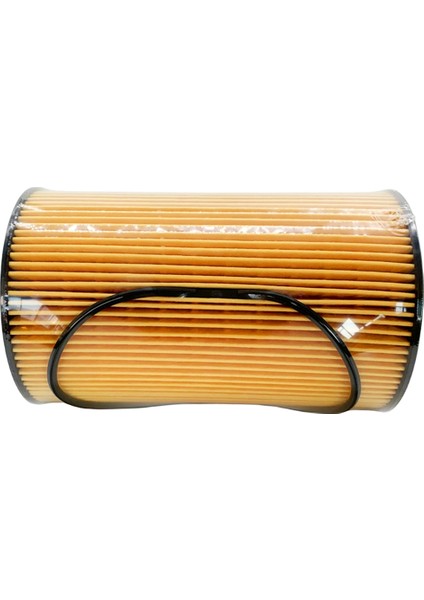 Sinotruk T5G Howo T7H Man MC11 MC13 Motor Kamyon Aksesuarları Parçaları Yağ Filtresi Elemanları Için 200V05504-0122 (Yurt Dışından) fırsatları