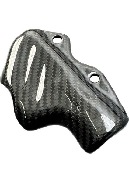 Ducatı Için Motosiklet Karbon Fiber Arka Fren Pompası Kapağı (Yurt Dışından)