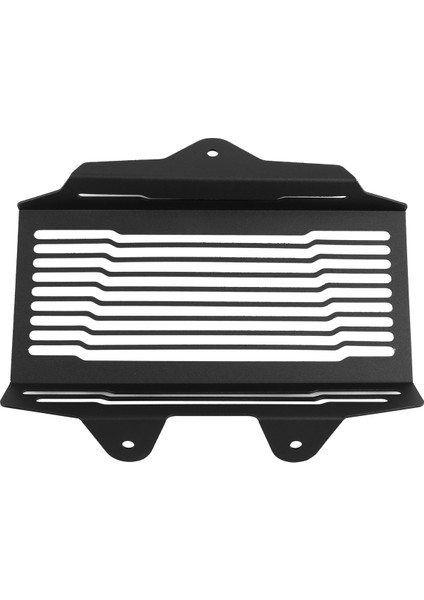 Bmw R12 R 12 Nınet 2024 2025 Motosiklet Radyatör Koruyucusu (Yurt Dışından)