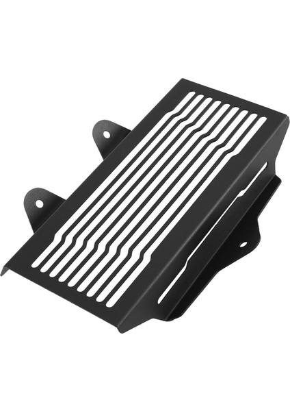 Bmw R12 R 12 Nınet 2024 2025 Motosiklet Radyatör Koruyucusu (Yurt Dışından) modelleri