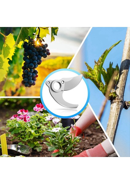 Elektrikli Budama Makası Yedek Bıçağı, 2 Adet, 30 mm Kesme Çapı (Yurt Dışından) fırsatları