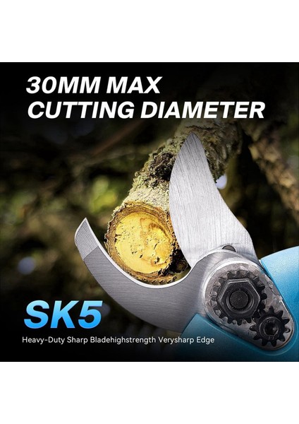 Elektrikli Budama Makası Yedek Bıçağı, 2 Adet, 30 mm Kesme Çapı (Yurt Dışından) indirimleri