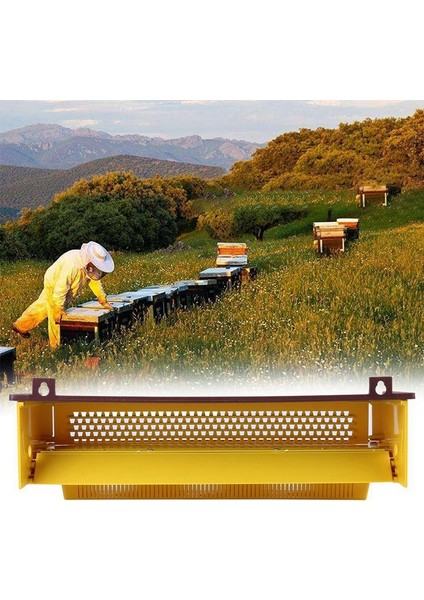 Plastik Polen Tuzağı Arıcılık Aletleri Tepsi Girişi Polen Toplayıcı Arıcı Arıcılık Malzemeleri Aletleri (Yurt Dışından) fiyatları