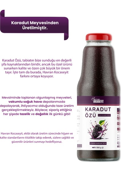 3 Adet Karadut Özü 1350 g + Yaban Mersini Özü 350 g modelleri