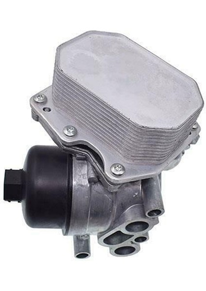 Ford Için BK2Q6B624BB Motor Yağı Soğutucu Filtre Muhafazası Tertibatı (Yurt Dışından)