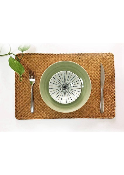 Paket 8 Doğal Seagrass Place Mathand Dokunma Dikdörtgen Rattan Placemats Saman Çay Kupası Mat Potholder (Yurt Dışından) fırsatları