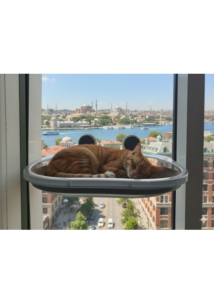 Vantuzlu Kedi Pencere Hamağı indirimleri