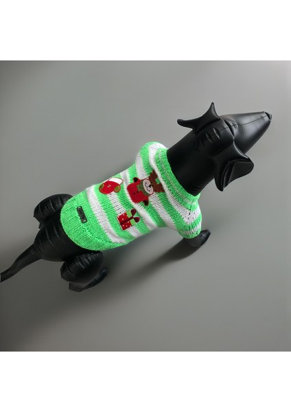 Kedi ve Köpek Için Yeşil Beyaz Yeni Yıl / Noel Kazağı modelleri