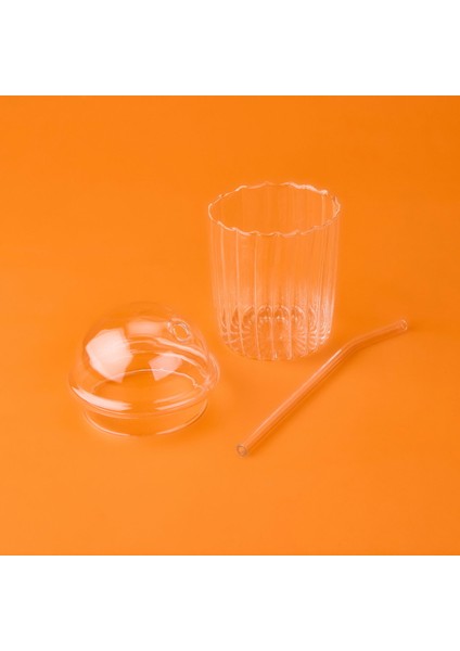 Elbis Büyük Boy Kapaklı Pipetli Bardak - Şeffaf - 490 ml modelleri