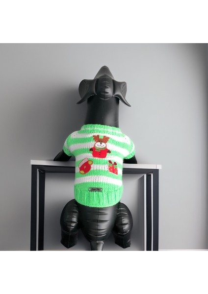 Kedi ve Köpek Için Yeşil Beyaz Yeni Yıl / Noel Kazağı