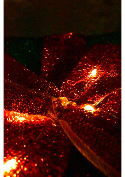 Müzikli Noel Babalı Hediye Kutusu Yeşil fırsatları