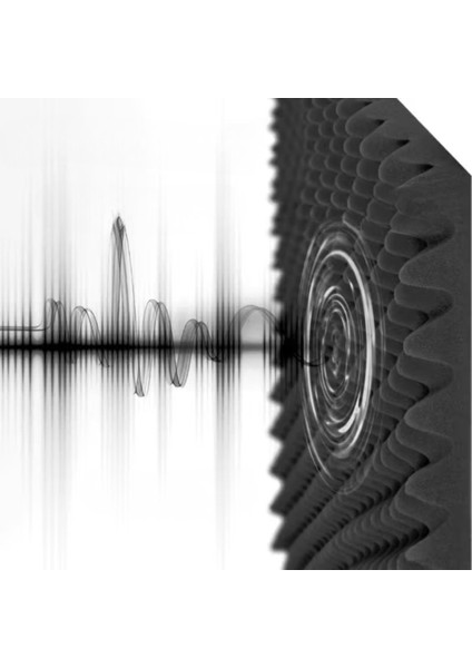 50MM Yanmaz Akustik Yalıtım Yumurta Sünger 50 Dns 100CMX100CM (1m²)