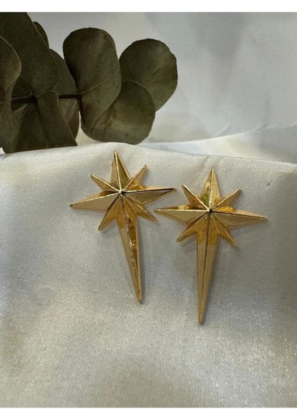 Kuzey Yıldızı Gold Küpe fiyatları