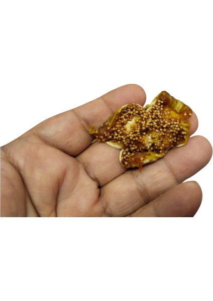 Yarma Lop Incir Cipsi 300 Gr.(Yaklaşık 34-35 Adet) Nazilli'nin Hücre Atp Enerji Kaynağı indirimleri