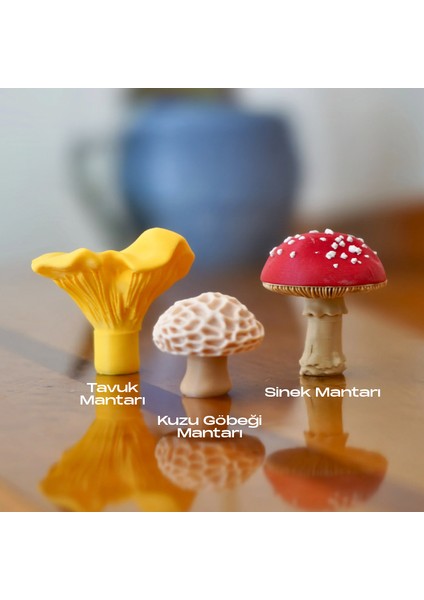 Mantar Magnet Set Iı 3'lü Paket fiyatları