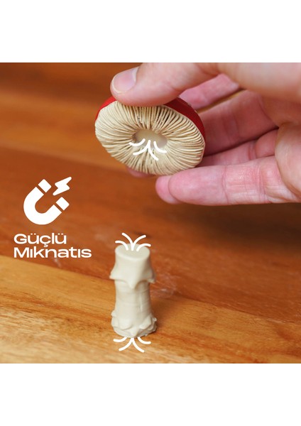 Mantar Magnet Set Iı 3'lü Paket modelleri