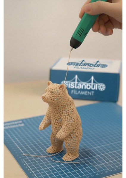 Istanbul Filament 3D Baskı Pla Filament Ten Rengi 1 kg Ø 1,75MM ± 0,05 mm Bambu Lab Uyumludur