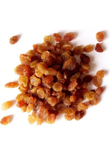 Kuru Besni Üzümü modelleri