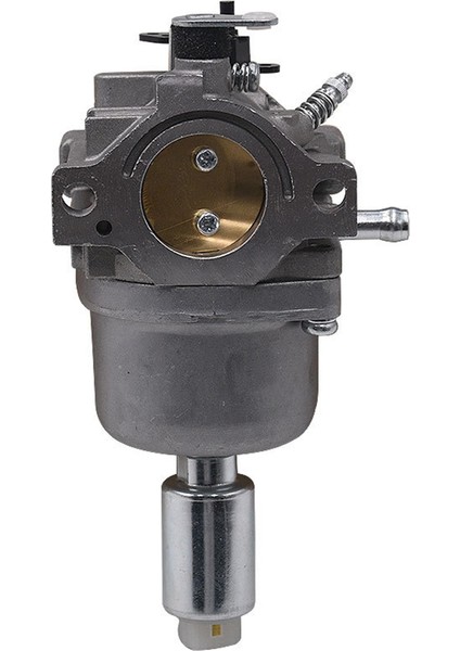 Briggs & Stratton Için Nikki 699915 Karbüratörlü Motor Karbüratörü (Yurt Dışından) fırsatları