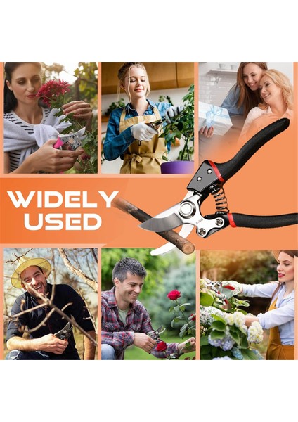 Bahçecilik Için Budama Makasları Bypass Bahçe Makasları ve Budama Makineleri (Yurt Dışından) modelleri