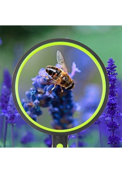 Taşınabilir Yeşil Büyüteç 110 mm Çaplı Lens (Yurt Dışından) fırsatları