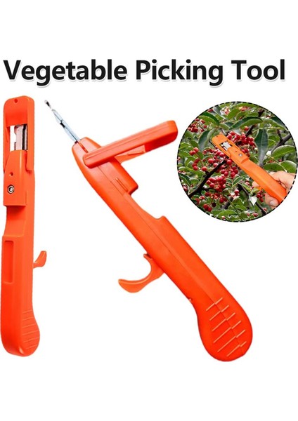 Üzüm Toplama Aracı Çok Işlevli Mutfak Doğrama Aletleri (Yurt Dışından) modelleri