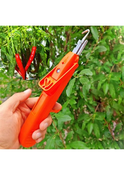 Üzüm Toplama Aracı Çok Işlevli Mutfak Doğrama Aletleri (Yurt Dışından) fırsatları