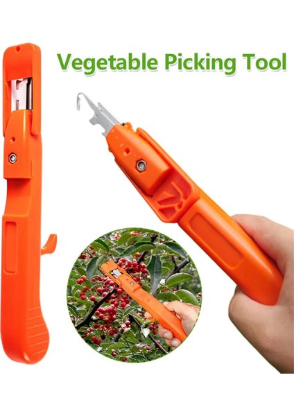 Üzüm Toplama Aracı Çok Işlevli Mutfak Doğrama Aletleri (Yurt Dışından) indirimleri