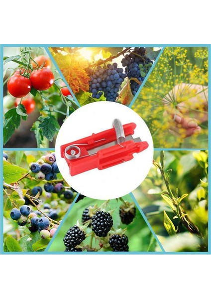 Çok Işlevli Başparmak Toplama Aleti Çay Yapraklarını Toplamak Için Başparmak Aleti (Yurt Dışından) fırsatları