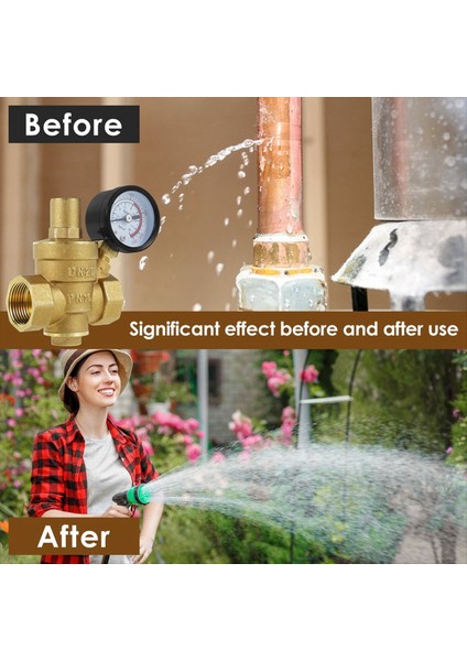 3/4 Inç DN20 Pirinç Su Basınç Regülatörü Vanası Su Basıncı (Yurt Dışından) fiyatları