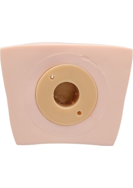 3 Kat Kirpik Manken Başlığı Uygulama Kirpik Makyajı Aracı Uzatma Kirpik Aşılama Eğitim Aracı Makyaj Uygulaması (Yurt Dışından) indirimleri