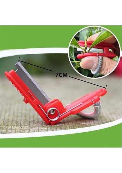 Çok Işlevli Başparmak Toplama Aleti Çay Yapraklarını Toplamak Için Başparmak Aleti (Yurt Dışından) modelleri