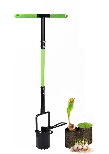 Soğan Dikim Aracı Crocus Uzun Saplı Ekim Makinesi Ayıklama Için (Yurt Dışından)