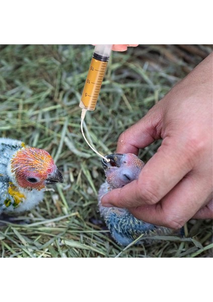 Kuş Papağan Besleme Tüpü, Yavru Kuş Sütü Ilacı Besleme Enjektörü (Yurt Dışından) fırsatları