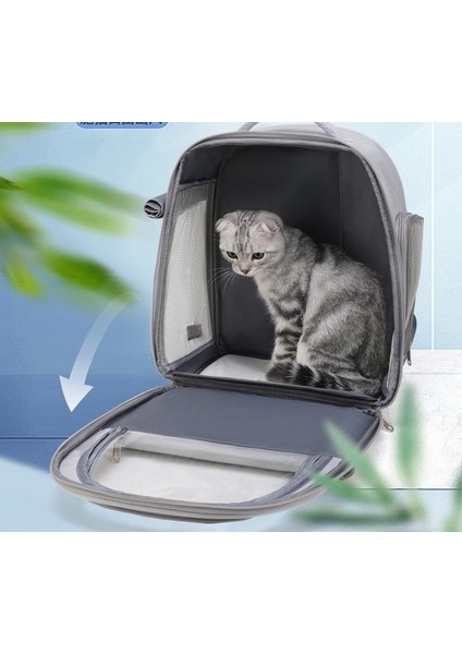 Kedi Taşıma Çantası, Taşınabilir Kedi Çantası, Nefes Alan Omuz Askıları. (Yurt Dışından) fırsatları