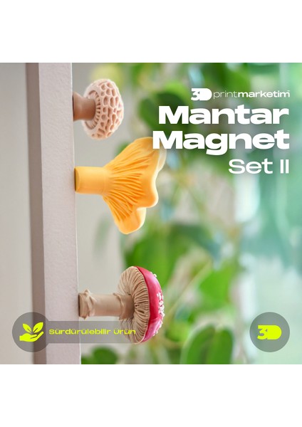 Mantar Magnet Set Iı 3'lü Paket
