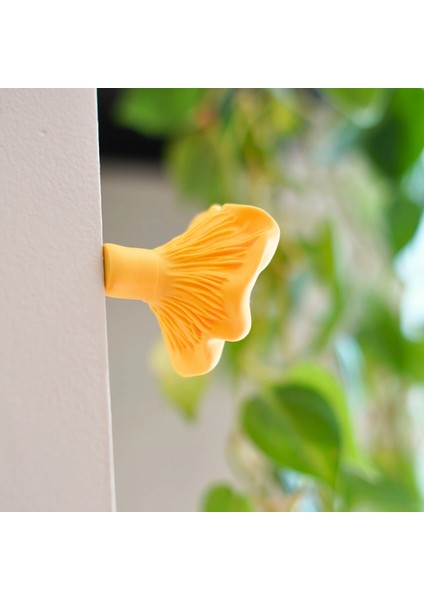 Mantar Magnet Set Iı 3'lü Paket indirimleri