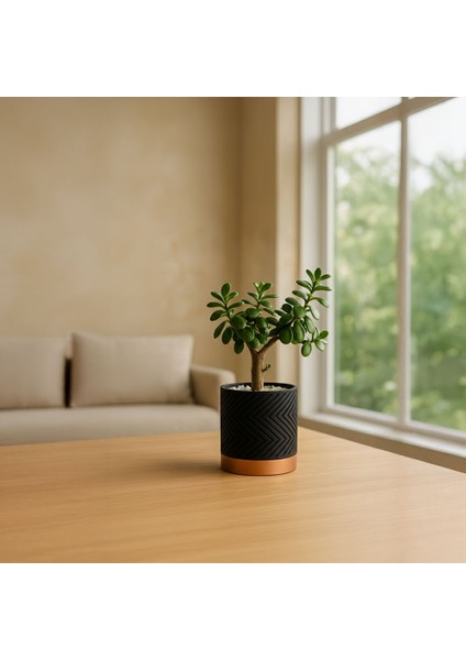 Modern Desenli Saksı – Minimal Dekoratif Tasarım fiyatları