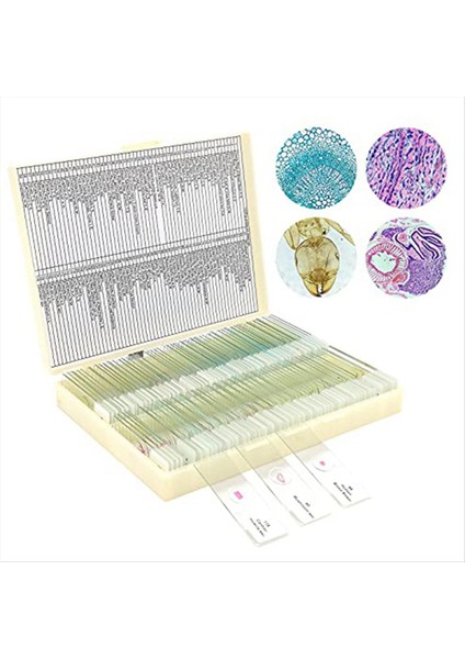 Çocuklardan Alınan Örneklerle Mikroskop Slaytları, Mikroskop Slaytları (Yurt Dışından)