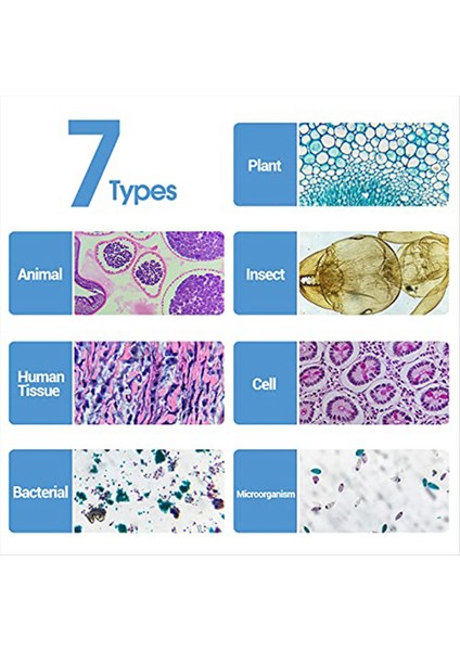 Çocuklardan Alınan Örneklerle Mikroskop Slaytları, Mikroskop Slaytları (Yurt Dışından) fiyatları