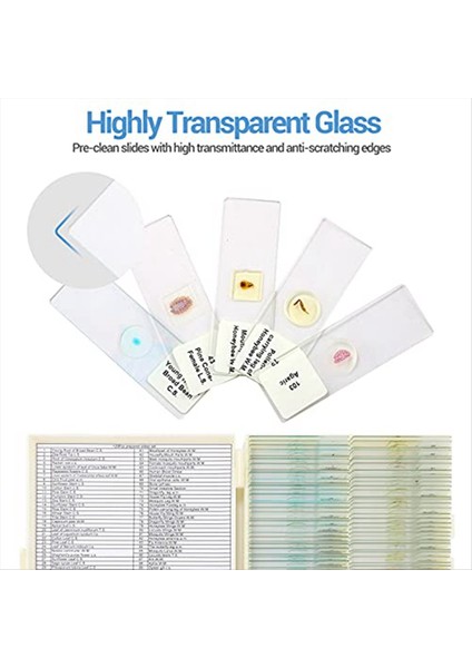 Çocuklardan Alınan Örneklerle Mikroskop Slaytları, Mikroskop Slaytları (Yurt Dışından) modelleri