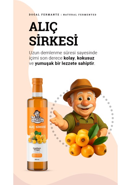 Doğal Fermantasyon Alıç Sirkesi 250 ml fiyatları