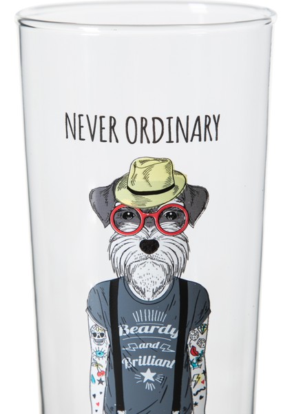 Dog Bira Bardağı 500 cc modelleri